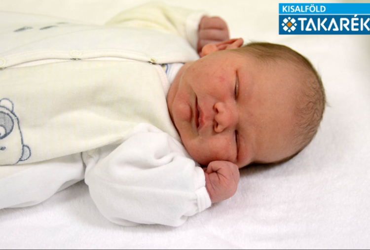 Füzi Bálint, Kapuvár