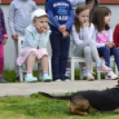 Pillangó Óvoda gyermeknap 2