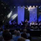 Tiszta Amerika - Vár-tó party