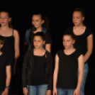 Nyárcsalogató (Fotó: Nagy Mária)