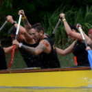 Voluta 2 nap (Fotó: Stipkovits Veronika és Bánhegyi István)