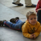 Szigetköz ízei, vármegye borai fesztivál - péntek (Fotó: Nagy Mária)