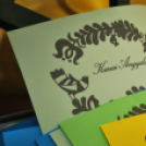 IV. Karolina Day (Fotó: Nagy Mária)