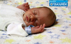 Vajdi Sámuel Gábriel, Darnózseli