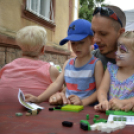 Mosonmagyaróvári Jótékonysági Családi Nap