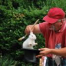 Családi nap a Gyerekek Átmeneti Otthonában