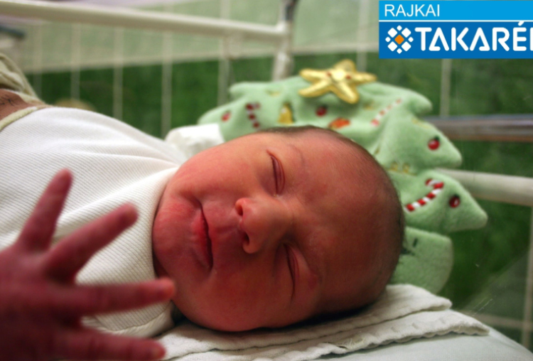 Kovács Norina, Rábapordány