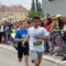 XIV. Greiner Szigetköz Félmaraton