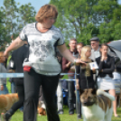 CAC kutyakiállítás (Fotó: Nagy Mária)