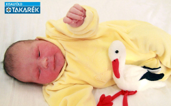 Tóth Máté, Csorna