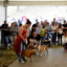 XI. Szigetköz ízei, Vármegye borai Fesztivál 3. nap 