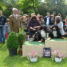 CAC kutyakiállítás (Fotó: Nagy Mária)