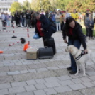 XII. Elfogadás napja Mosonmagyaróvár