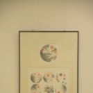 Kis Világok - Nagy Judit grafikus kiállítás megnyitója (Fotó: Nagy Mária)