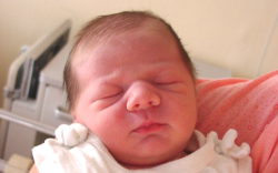 Horváth Áron-Mosonszolnok