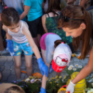 Apró kezek, Csodakertek - IX. Gyermek Kertépítő Verseny