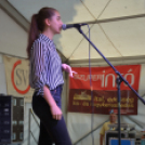 Szigetköz ízei, Vármegye borai Fesztivál 3 nap, 140 Éves Mosonmagyaróvár Város Tűzoltósága (Fotó: Bánhegyi István)