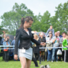 CAC kutyakiállítás (Fotó: Nagy Mária)