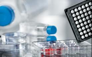 Növelte árbevételét a Greiner