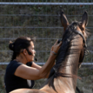 XI. Szigetköz ízei, Vármegye borai Fesztivál 2. nap Várárok