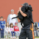 Pillangó Óvoda gyermeknap 2