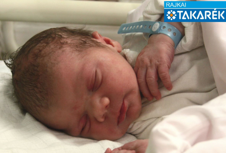 Stipkovits Márk, Mosonmagyaróvár