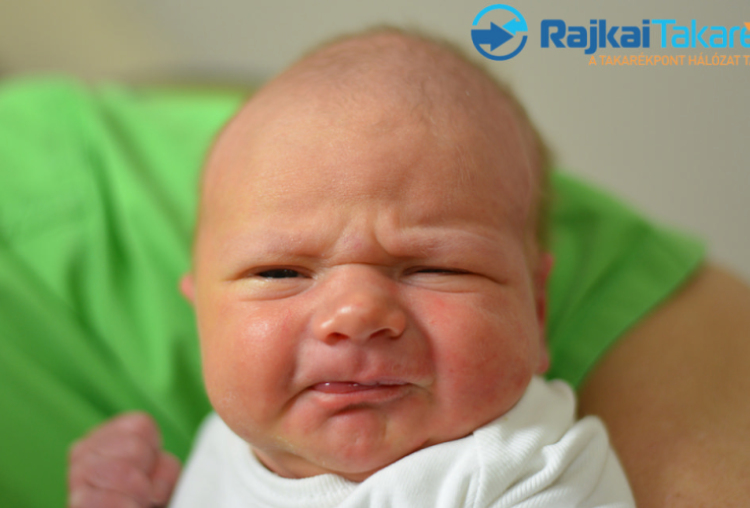 Nagy Erik, 3180 gr. Malomsok