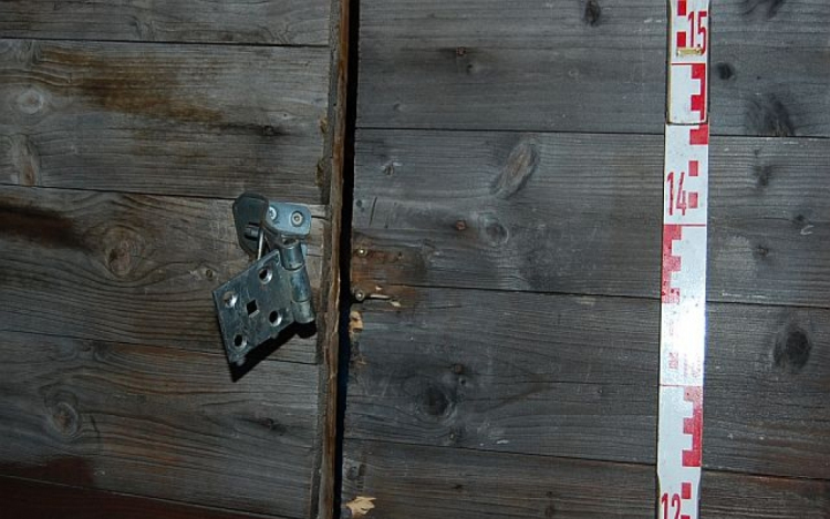 Vádemelés lopás miatt