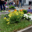 Apró kezek, csodakertek kertépítő verseny (Fotó: Horváth Attila)