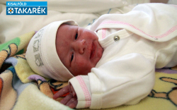 Honti Alexa, Mosonmagyaróvár