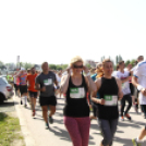 XV. Greiner Szigetköz Félmaraton