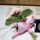 XIX. Mosonmagyaróvári Civil Nap 