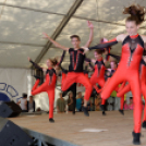 Szigetköz ízei, vármegye borai fesztivál / VÁRMEGYE SZÉPE - VÁRMEGYE HANGJA (Fotó: Horváth Attila)