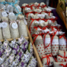 Pillangó Óvoda és Mini Bölcsőde családi nap az Alma együttessel 