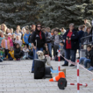 XII. Elfogadás napja Mosonmagyaróvár