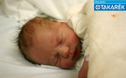 Rabi Gergő József, Csorna