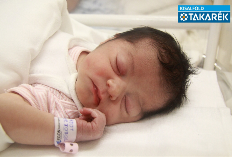 Török Zara Lora, Beled