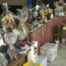 20. Jótékony Maskara Bál