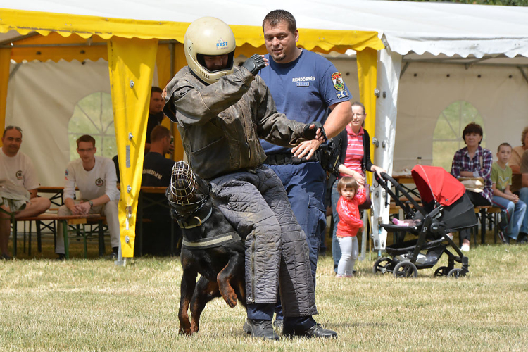 4. Kéklámpás Nap (Fotó: Horváth Attila)