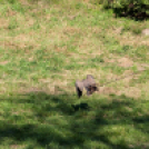 XII. Szigetköz ízei, Vármegye borai Fesztivál 2. nap