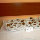 Ételkostoló a mosonmagyaróvári bölcsödékben