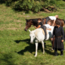 XII. Szigetköz ízei, Vármegye borai Fesztivál 2. nap