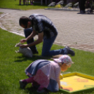 Gyereknap - Hansági Múzeum