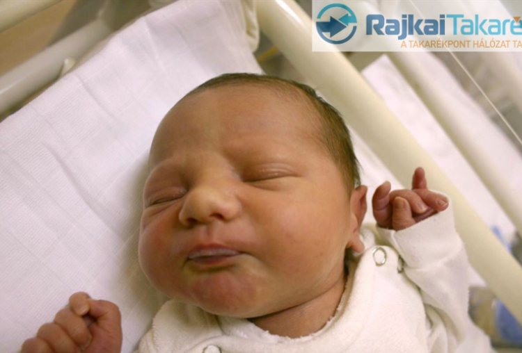 Lakatos Noel Áron, Kimle