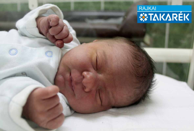 Hofbauer Vilmos, Mosonmagyaróvár