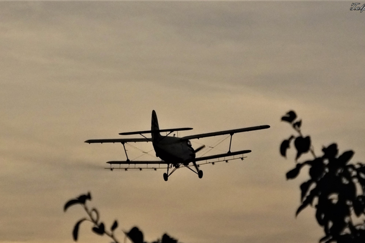 Pótolják a hőség miatt elmaradt kezeléseket 