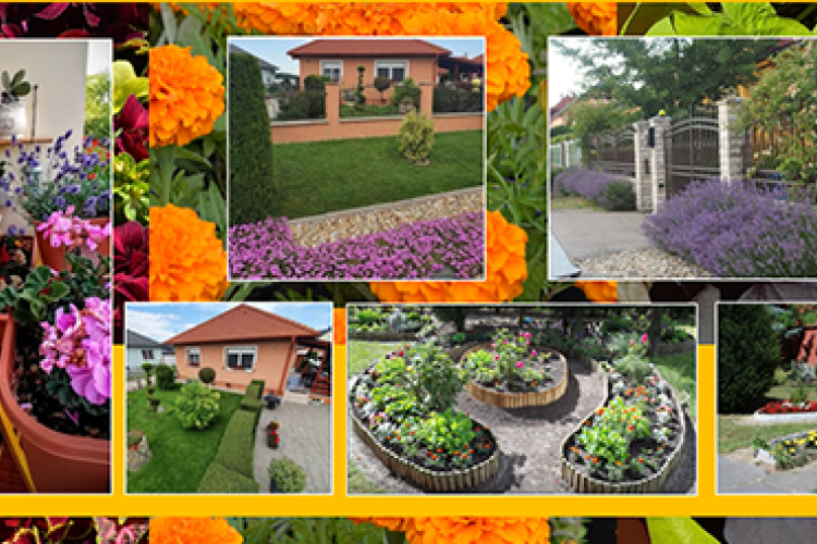 Virágosíts Mosonmagyaróvár! - ismét kiírták a pályázatot 