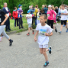 XII. Greiner Szigetköz Minimaraton (Fotó: Horváth Attila)