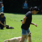 VÁROSKÖZPONTIAK NAPJA 2016, 2 nap (Fotó: Bánhegyi István)