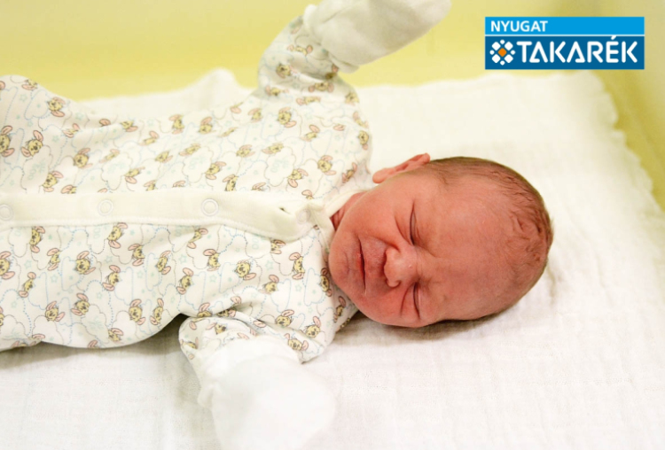 Nyéki Levente. Mosonmagyaróvár